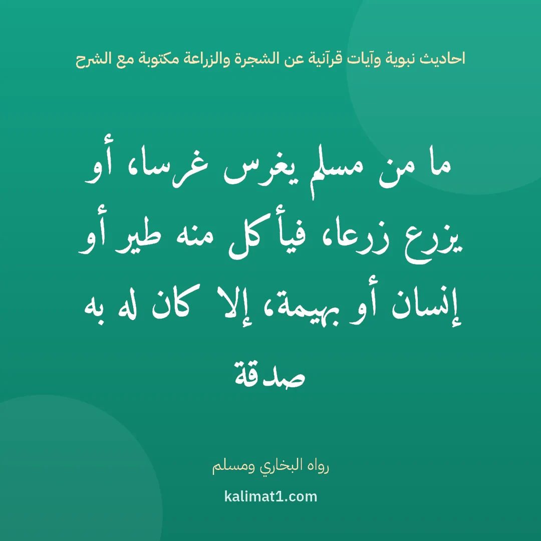 احاديث نبوية وآيات قرآنية عن الشجرة والزراعة مكتوبة مع الشرح: ما من مسلم يغرس غرسا، أو يزرع زرعا، فيأكل منه طير أو إنسان أو بهيمة، إلا كان له به صدقة