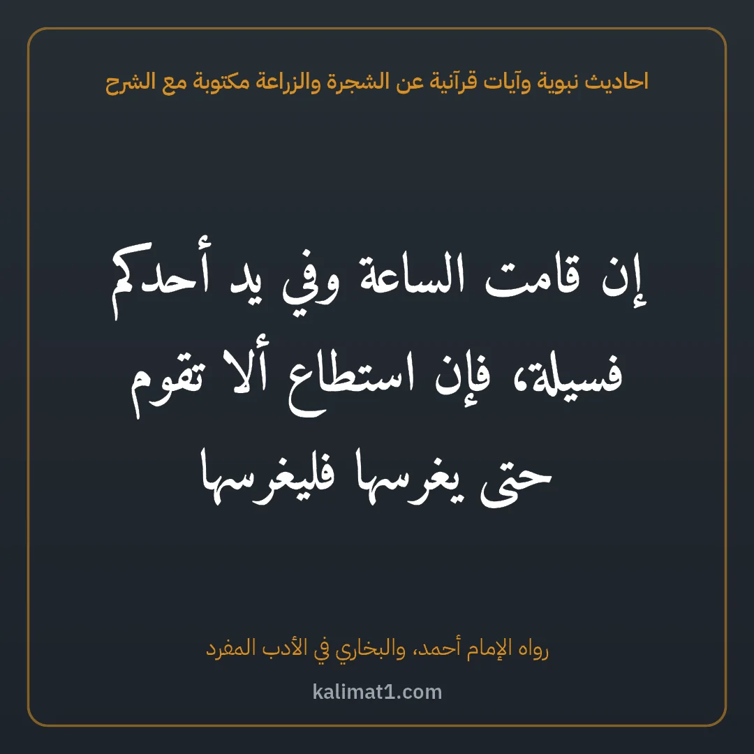 احاديث نبوية وآيات قرآنية عن الشجرة والزراعة مكتوبة مع الشرح: إن قامت الساعة وفي يد أحدكم فسيلة، فإن استطاع ألا تقوم حتى يغرسها فليغرسها