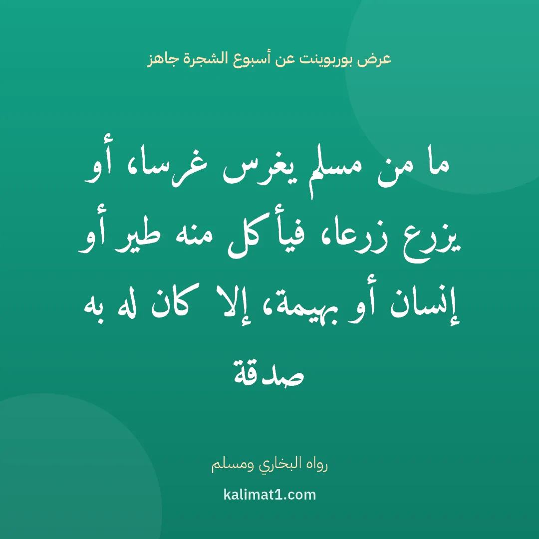 عرض بوربوينت عن أسبوع الشجرة جاهز: ما من مسلم يغرس غرسا، أو يزرع زرعا، فيأكل منه طير أو إنسان أو بهيمة، إلا كان له به صدقة