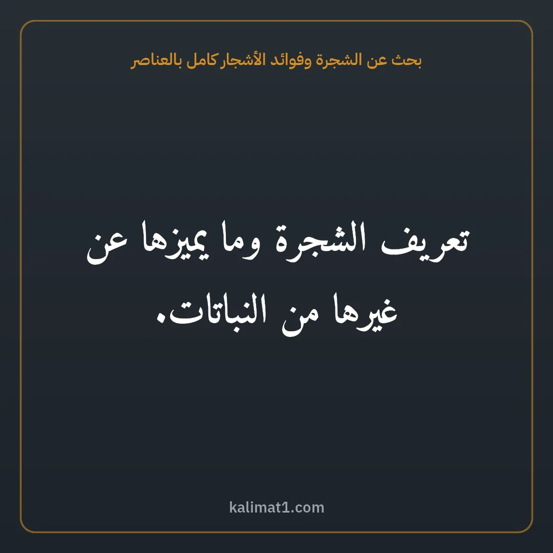 بحث عن الشجرة وفوائد الأشجار كامل بالعناصر: تعريف الشجرة وما يميزها عن غيرها من النباتات.