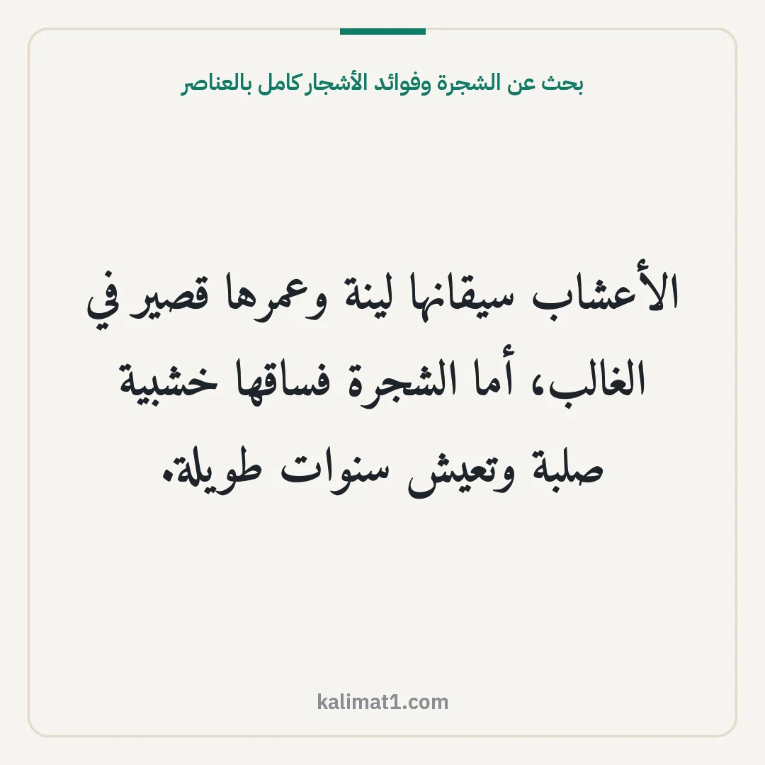 بحث عن الشجرة وفوائد الأشجار كامل بالعناصر: الأعشاب سيقانها لينة وعمرها قصير في الغالب، أما الشجرة فساقها خشبية صلبة وتعيش سنوات طويلة...