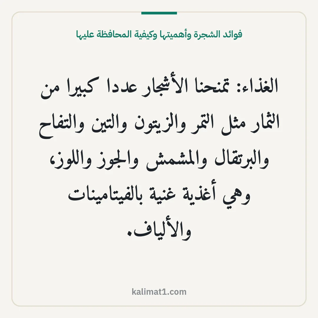 فوائد الشجرة وأهميتها وكيفية المحافظة عليها: الغذاء: تمنحنا الأشجار عددا كبيرا من الثمار مثل التمر والزيتون والتين والتفاح والبرتقال وا...