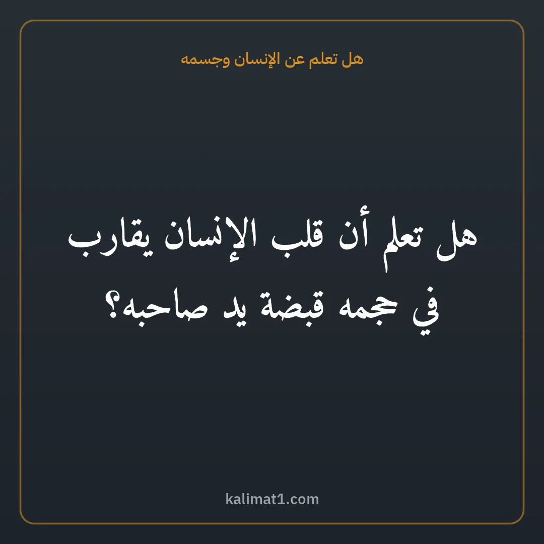 هل تعلم عن الإنسان وجسمه: هل تعلم أن قلب الإنسان يقارب في حجمه قبضة يد صاحبه؟