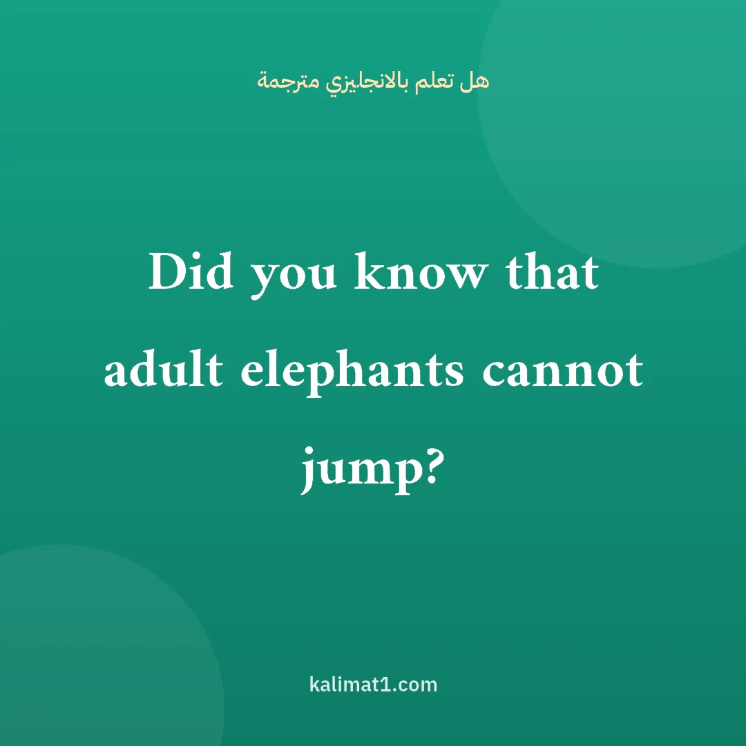 هل تعلم بالانجليزي مترجمة: Did you know that adult elephants cannot jump?