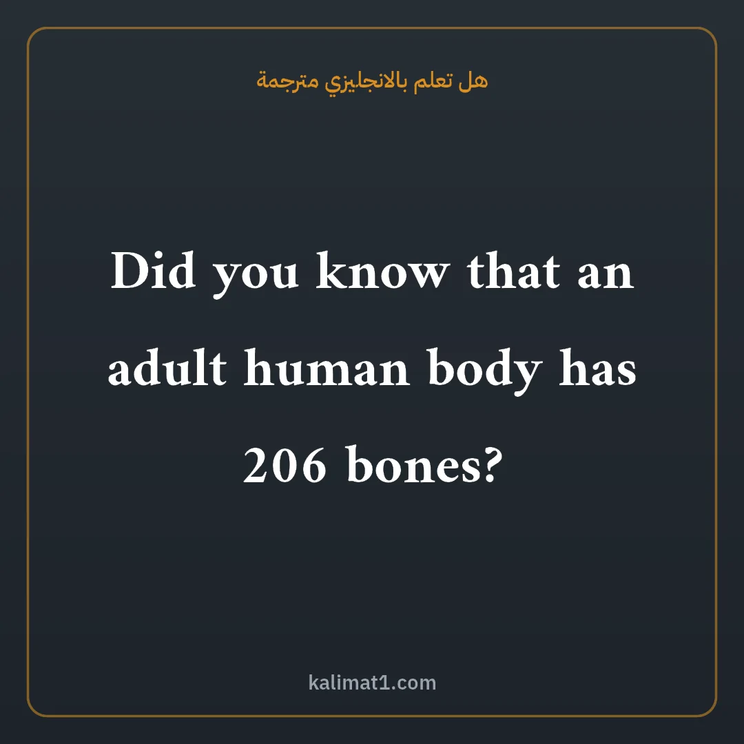 هل تعلم بالانجليزي مترجمة: Did you know that an adult human body has 206 bones?