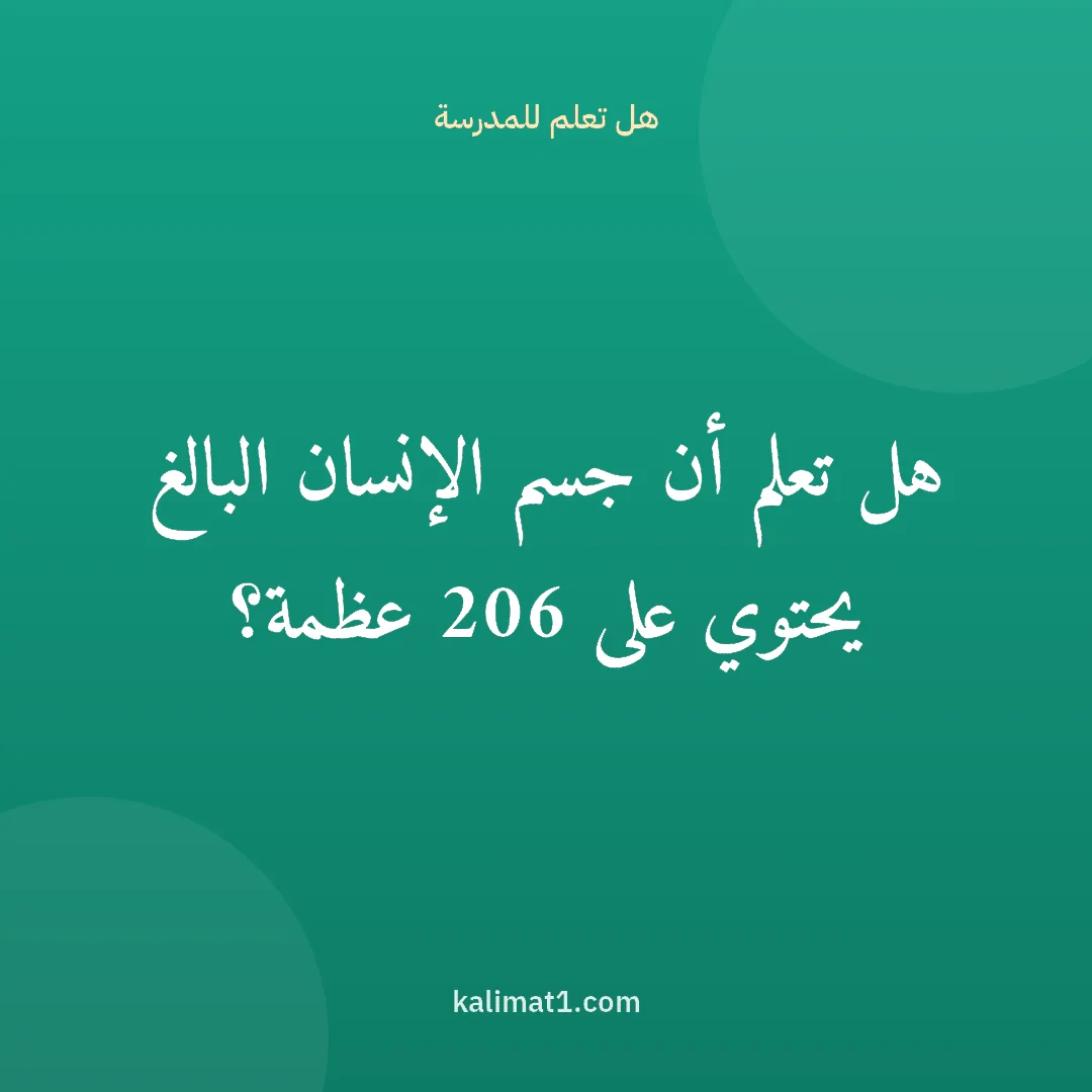 هل تعلم للمدرسة: هل تعلم أن جسم الإنسان البالغ يحتوي على 206 عظمة؟