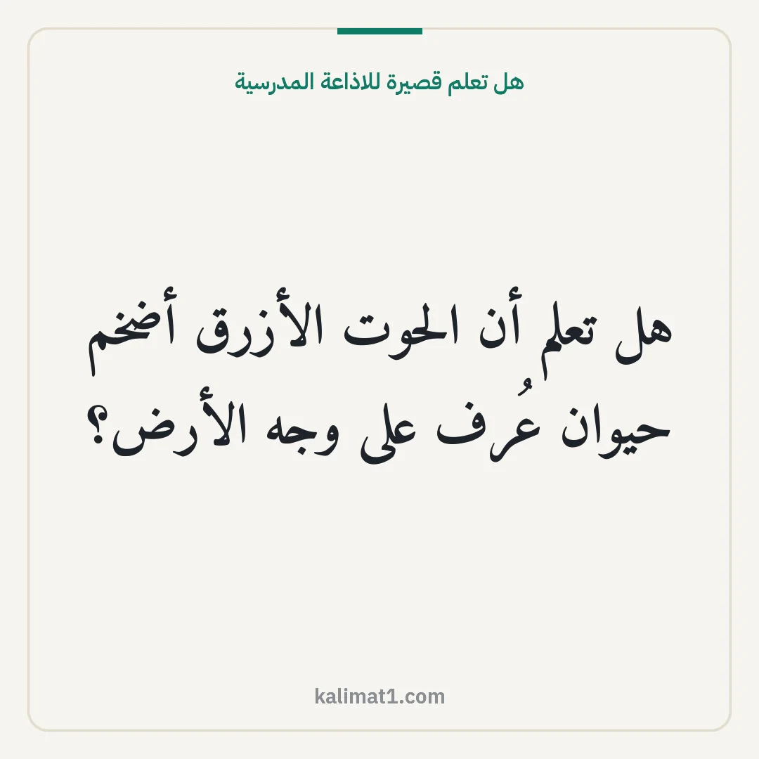 هل تعلم قصيرة للاذاعة المدرسية: هل تعلم أن الحوت الأزرق أضخم حيوان عُرف على وجه الأرض؟