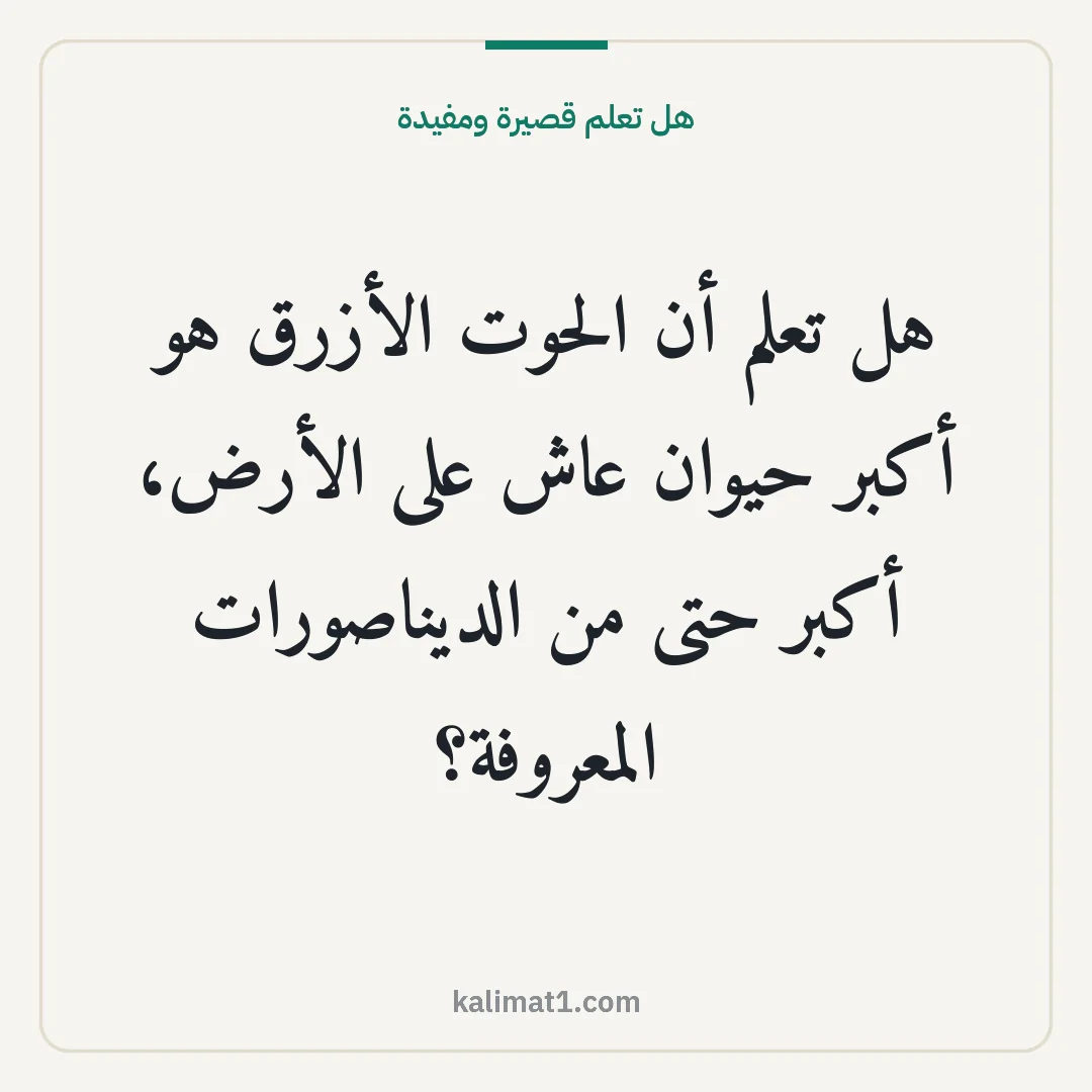 هل تعلم قصيرة ومفيدة: هل تعلم أن الحوت الأزرق هو أكبر حيوان عاش على الأرض، أكبر حتى من الديناصورات المعروفة؟