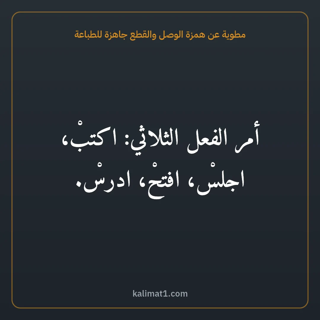 مطوية عن همزة الوصل والقطع جاهزة للطباعة: أمر الفعل الثلاثي: اكتبْ، اجلسْ، افتحْ، ادرسْ.