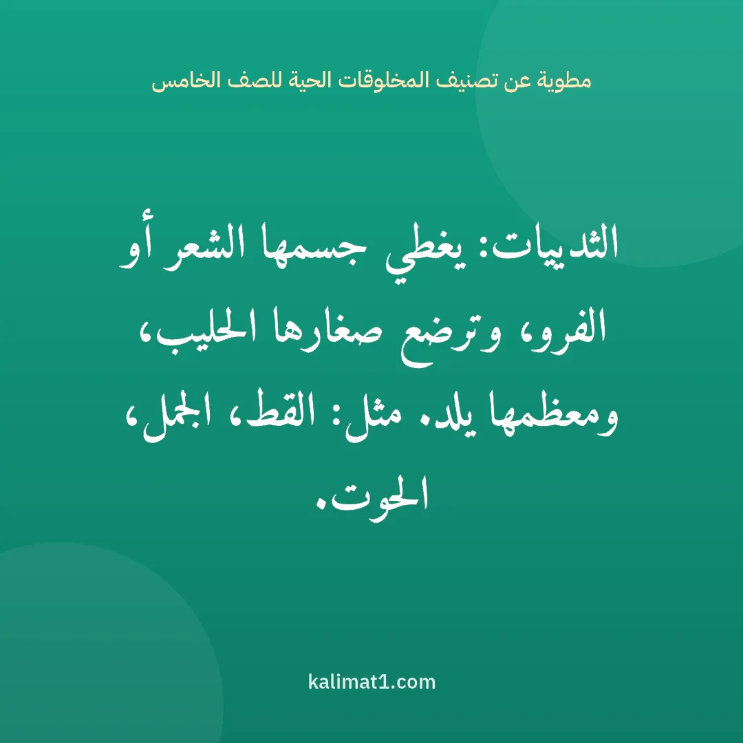 مطوية عن تصنيف المخلوقات الحية للصف الخامس: الثدييات: يغطي جسمها الشعر أو الفرو، وترضع صغارها الحليب، ومعظمها يلد. مثل: القط، الجمل، ا...