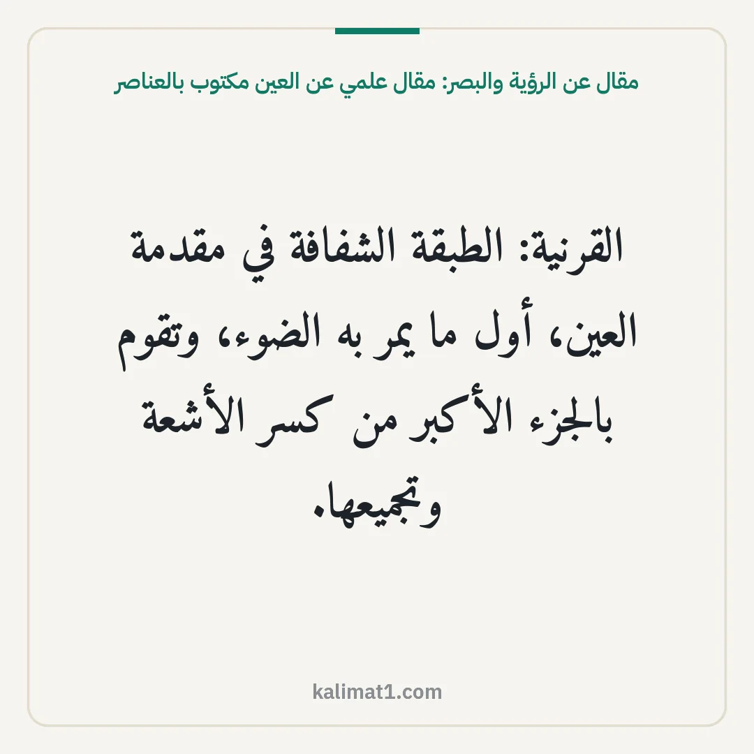 مقال عن الرؤية والبصر: مقال علمي عن العين مكتوب بالعناصر: القرنية: الطبقة الشفافة في مقدمة العين، أول ما يمر به الضوء، وتقوم بالجزء الأكبر من كسر ال...