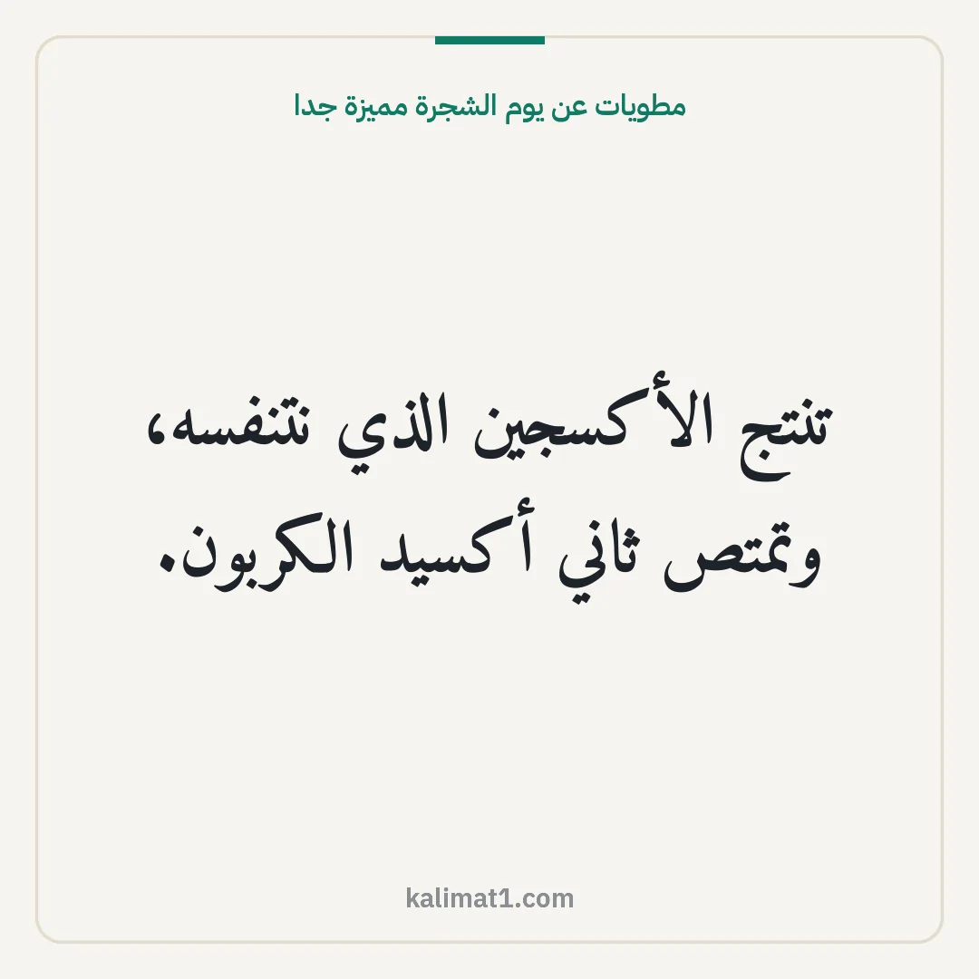 مطويات عن يوم الشجرة مميزة جدا: تنتج الأكسجين الذي نتنفسه، وتمتص ثاني أكسيد الكربون.