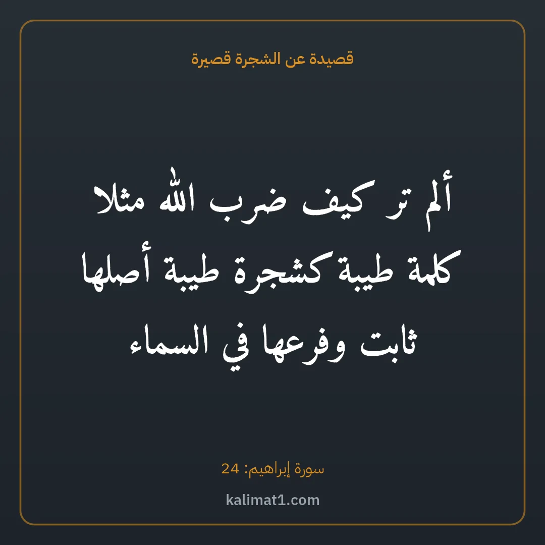 قصيدة عن الشجرة قصيرة: ألم تر كيف ضرب الله مثلا كلمة طيبة كشجرة طيبة أصلها ثابت وفرعها في السماء