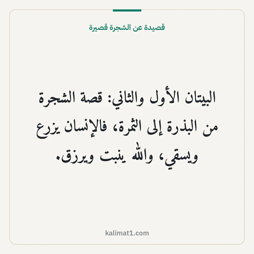 قصيدة عن الشجرة قصيرة: البيتان الأول والثاني: قصة الشجرة من البذرة إلى الثمرة، فالإنسان يزرع ويسقي، والله ينبت وي...