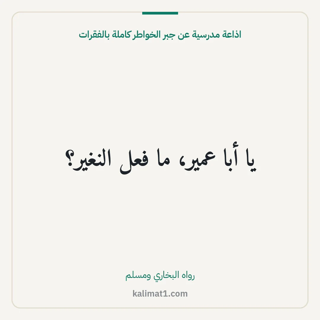 اذاعة مدرسية عن جبر الخواطر كاملة بالفقرات: يا أبا عمير، ما فعل النغير؟