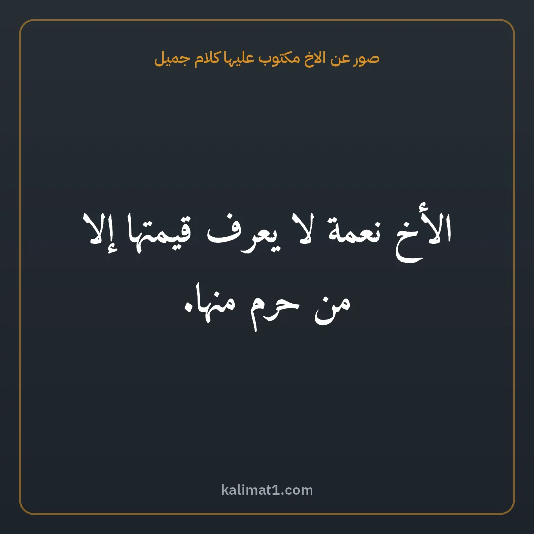 صور عن الاخ مكتوب عليها كلام جميل: الأخ نعمة لا يعرف قيمتها إلا من حرم منها.