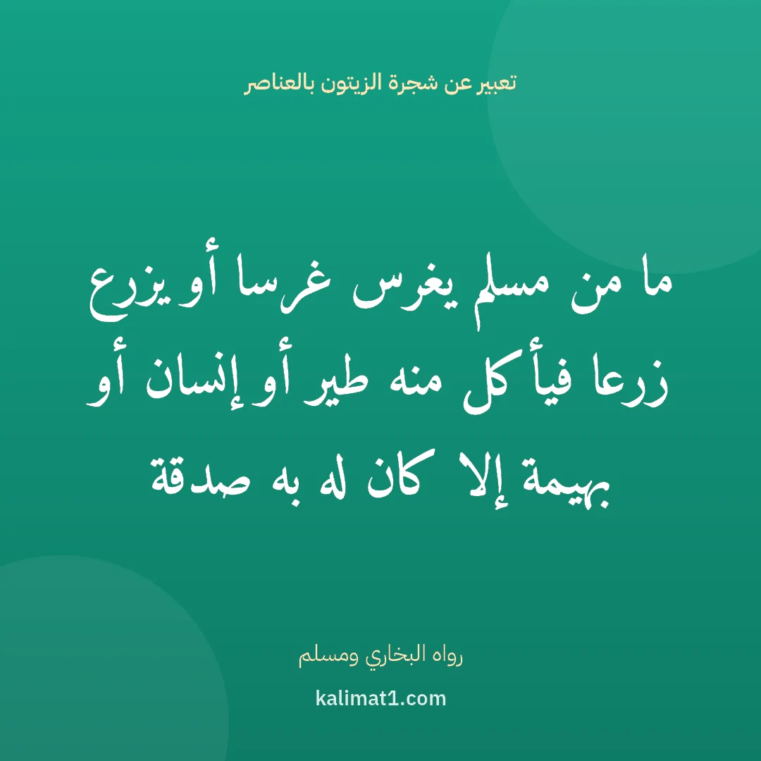 تعبير عن شجرة الزيتون بالعناصر: ما من مسلم يغرس غرسا أو يزرع زرعا فيأكل منه طير أو إنسان أو بهيمة إلا كان له به صدقة