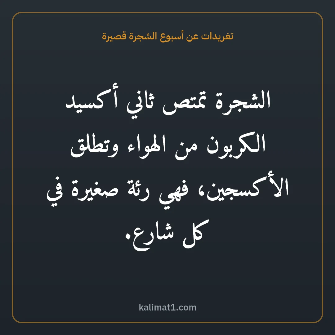 تغريدات عن أسبوع الشجرة قصيرة: الشجرة تمتص ثاني أكسيد الكربون من الهواء وتطلق الأكسجين، فهي رئة صغيرة في كل شارع.